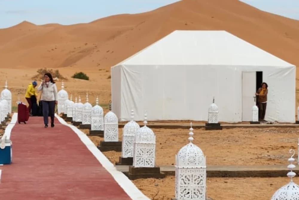 Bivac de Lujo en Merzouga: Paseo en Camello + Cena y Espectáculo + Baño Privado