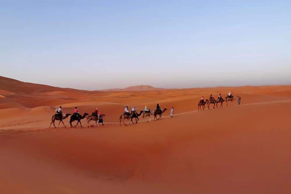 Merzouga Bivouac fixe standard Balade à dos de chameau + Dîner & Spectacle + Sandboard - 5