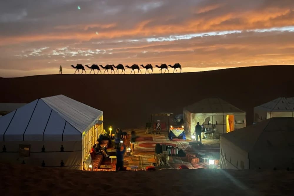 Vivac de Lujo Merzouga – Baño Privado + Paseo en Camello + Cena y Espectáculo + Desayuno + Regreso (Camello y 4x4)