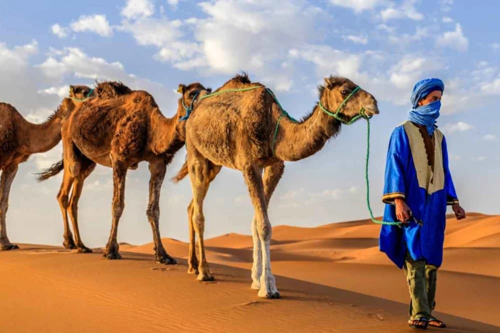 Tour Cultural de Merzouga 2h30, Nomad Rahala + Qatari Museum + Gnaoua y Fósiles - 3