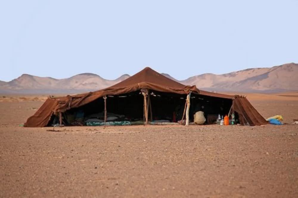 Tour Cultural de Merzouga 2h30, Nomad Rahala + Qatari Museum + Gnaoua y Fósiles - 2