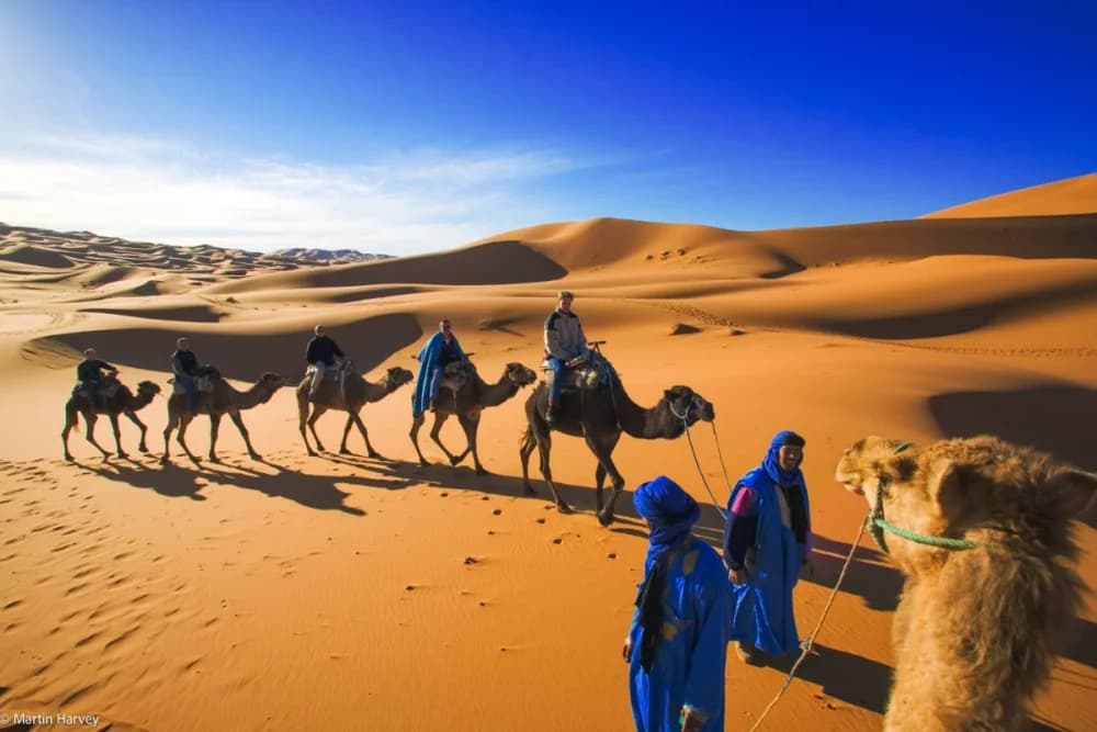 Tour Cultural de Merzouga 2h30, Nomad Rahala + Qatari Museum + Gnaoua y Fósiles
