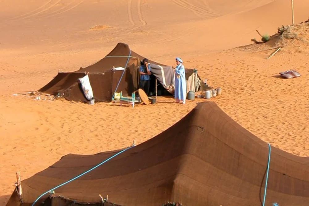 Tour Cultural de Merzouga 2h30, Nomad Rahala + Qatari Museum + Gnaoua y Fósiles - 4