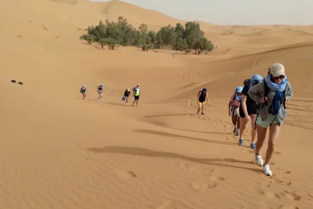 Merzouga Vivac Salvaje 10H, Ruta en Camello y Guía + Hoguera + Comidas + Soporte 4x4