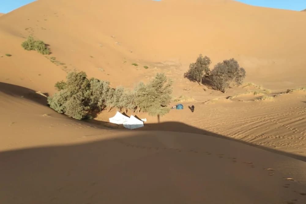 Merzouga Vivac Salvaje 10H, Ruta en Camello y Guía + Hoguera + Comidas + Soporte 4x4 - thumbnail 7