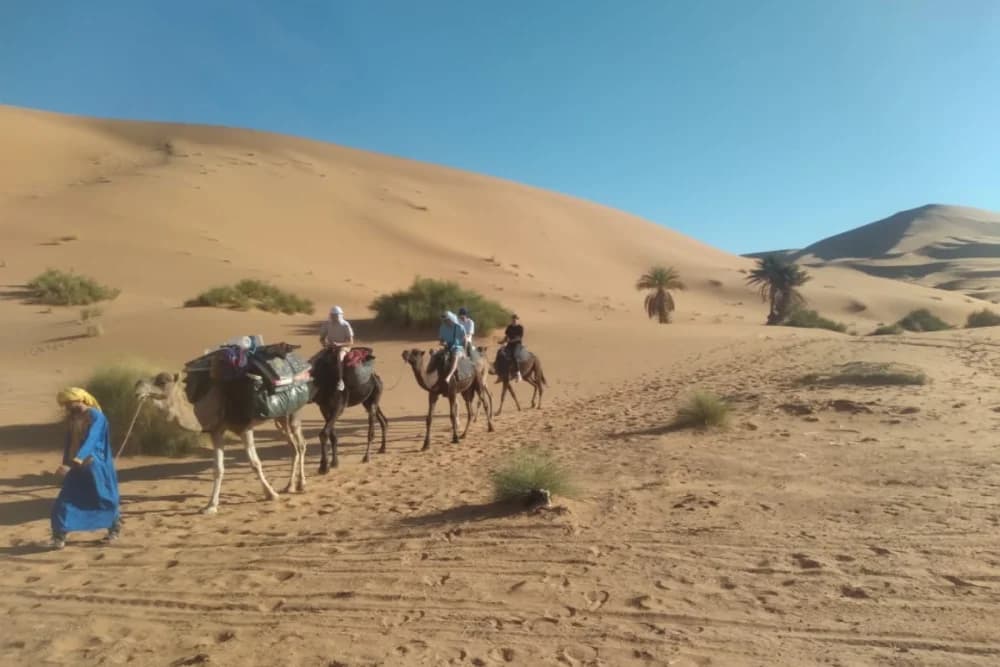 Merzouga Vivac Salvaje 10H, Ruta en Camello y Guía + Hoguera + Comidas + Soporte 4x4 - thumbnail 9