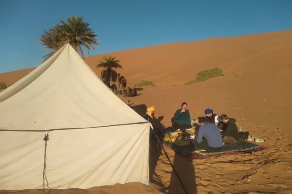 Merzouga Vivac Salvaje 10H, Ruta en Camello y Guía + Hoguera + Comidas + Soporte 4x4 - thumbnail 10