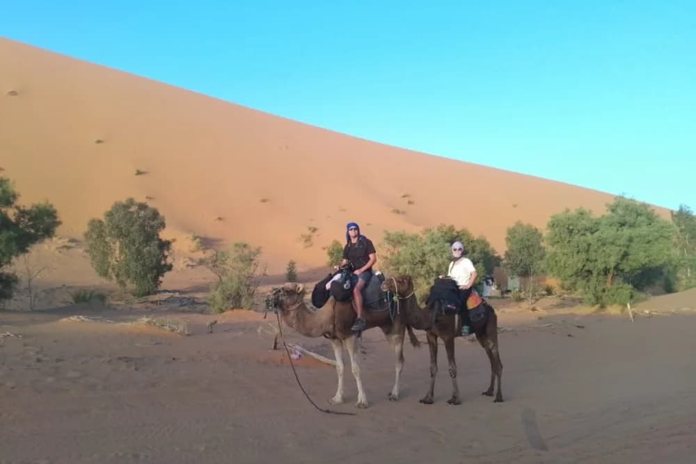 Merzouga Vivac Salvaje 10H, Ruta en Camello y Guía + Hoguera + Comidas + Soporte 4x4 - thumbnail 12