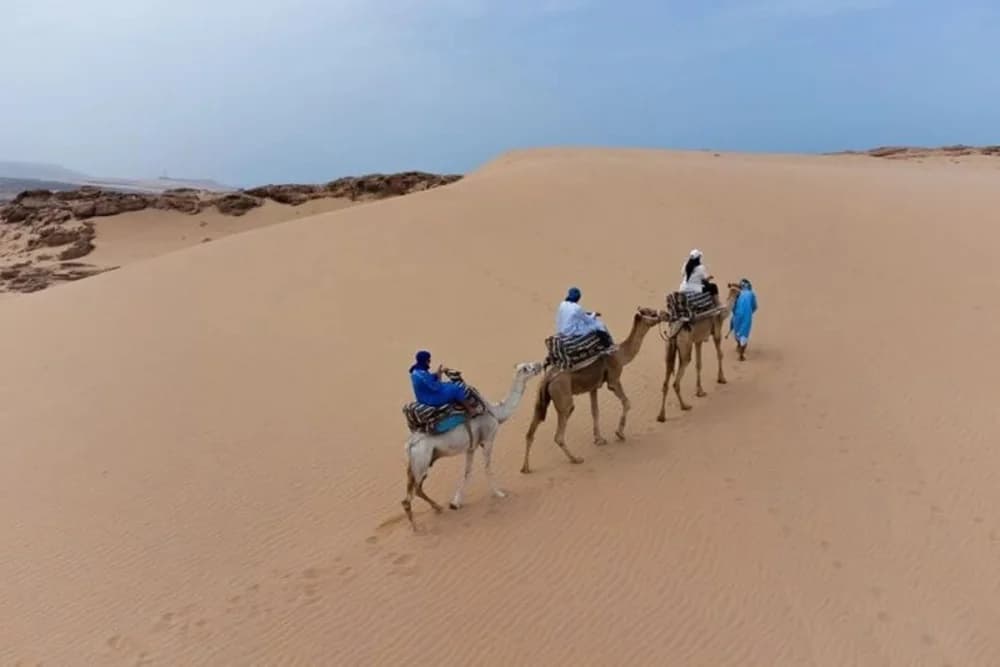 Agadir Kameelrit 2 Uur bij Oued Souss Takkat - 2