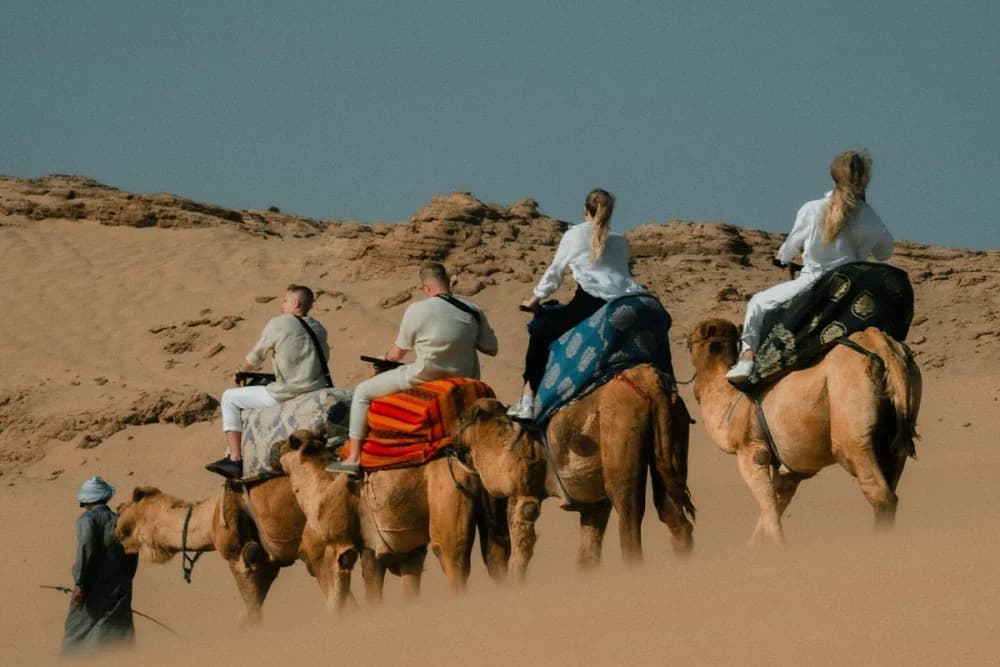 Timlaline Dünen Kamelritt 1 Std. + Höhlen-Entdeckungswanderung - 4