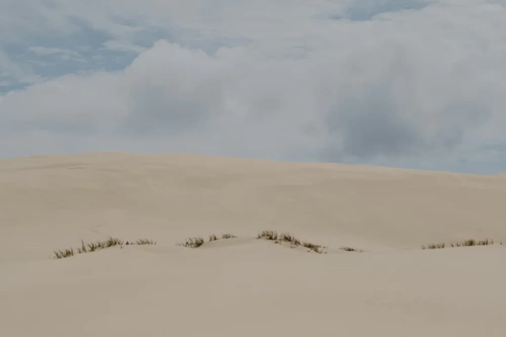 Timlaline Sand Dunes Viaggio al Tramonto con partenza alle 16:00, Canyon delle Grotte + Guida - 4