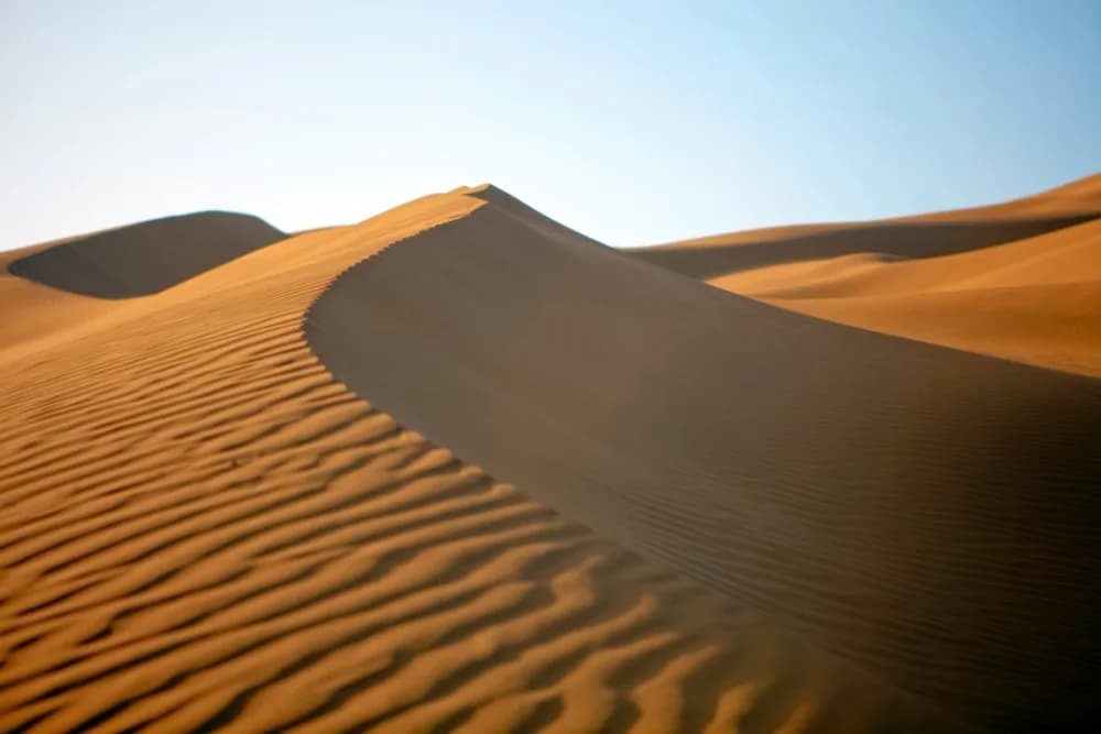Timlaline Sand Dunes Viaggio al Tramonto con partenza alle 16:00, Canyon delle Grotte + Guida - thumbnail 6
