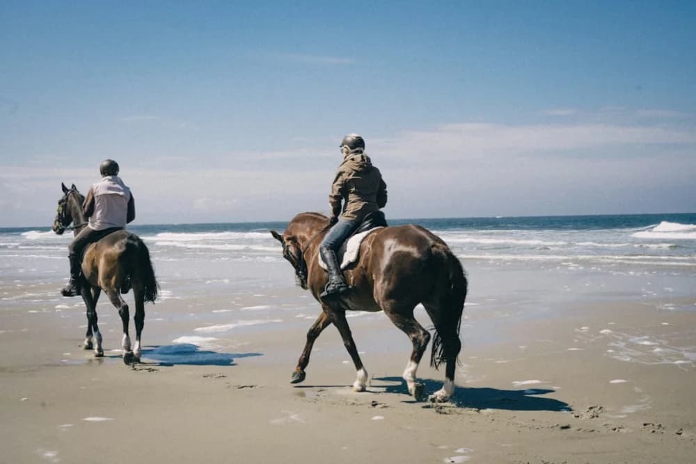 Paseo a Caballo en Taghazout 1 Hora Guiado + Recogida en Hotel