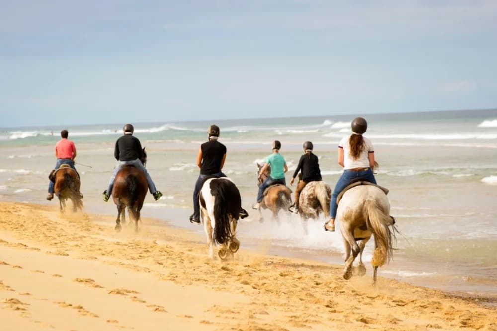 Oued Souss Takkat Paseo a Caballo 2 Horas - 2