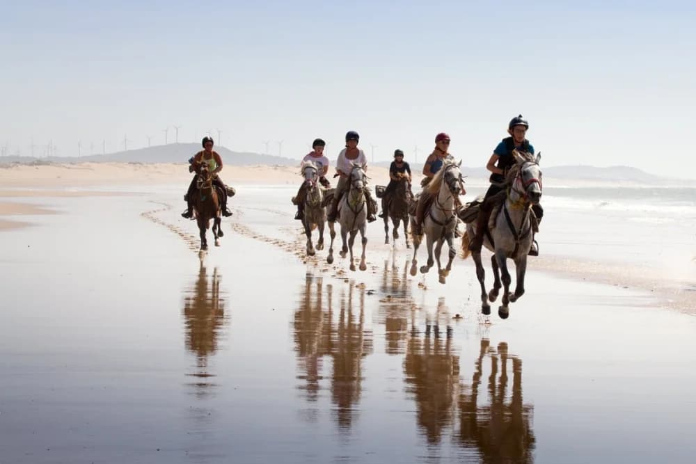 Oued Souss Takkat Paseo a Caballo 2 Horas - 3