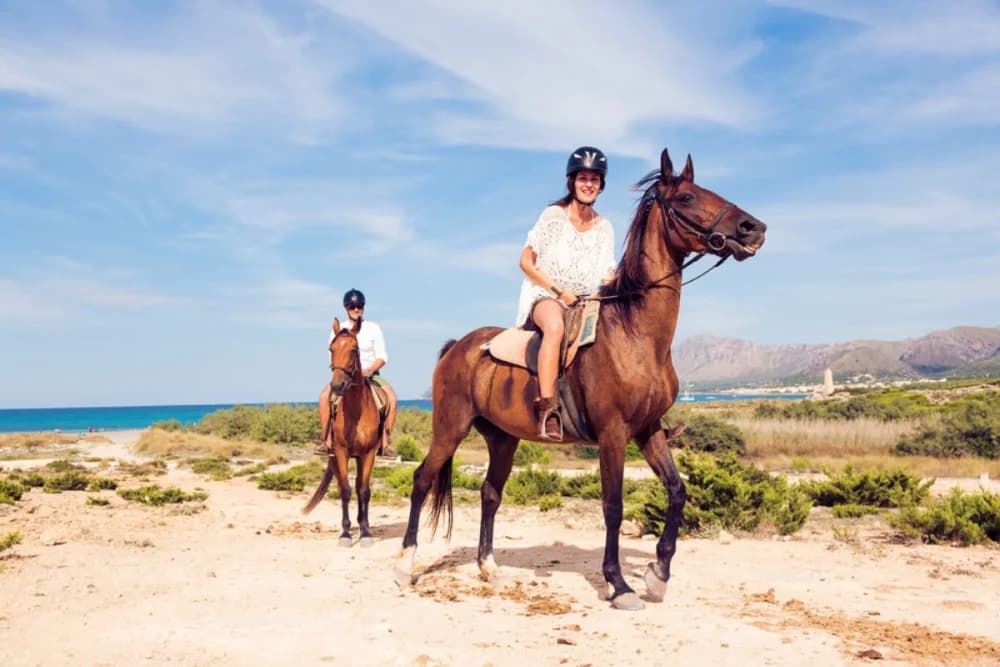 Oued Souss Takkat Paseo a Caballo 2 Horas