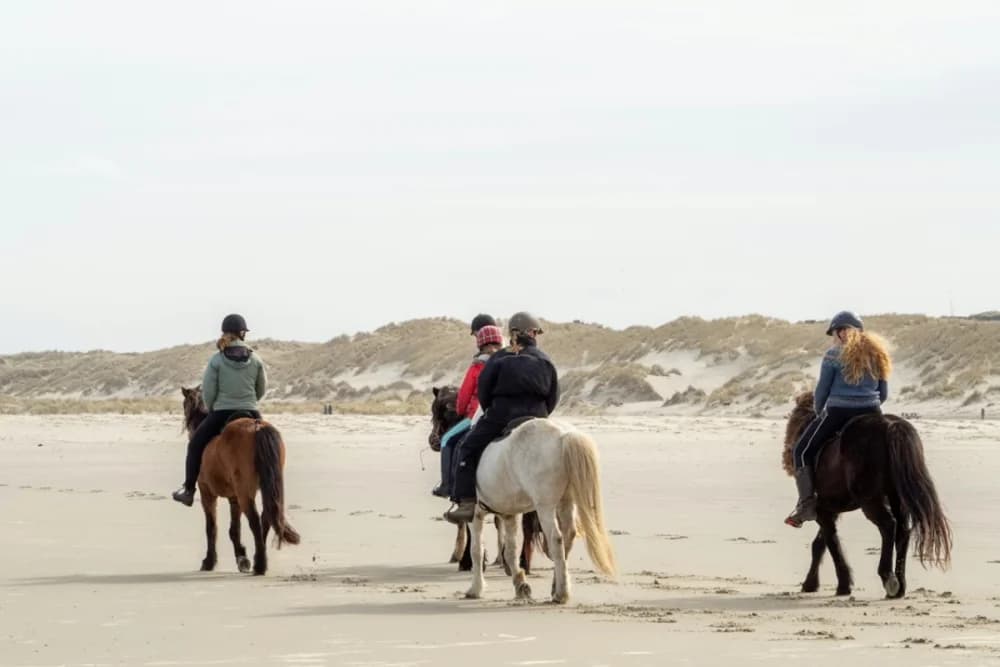 Oued Souss Takkat Paseo a Caballo 2 Horas - 5