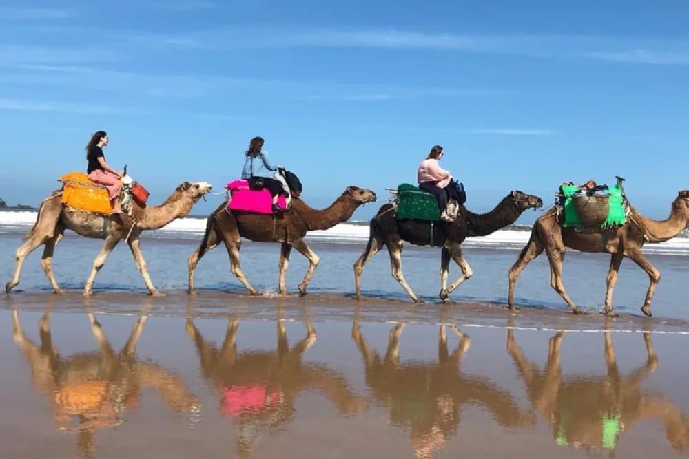 Taghazout Kameelrit 1 uur met hotel ophaalservice + foto's - thumbnail 8