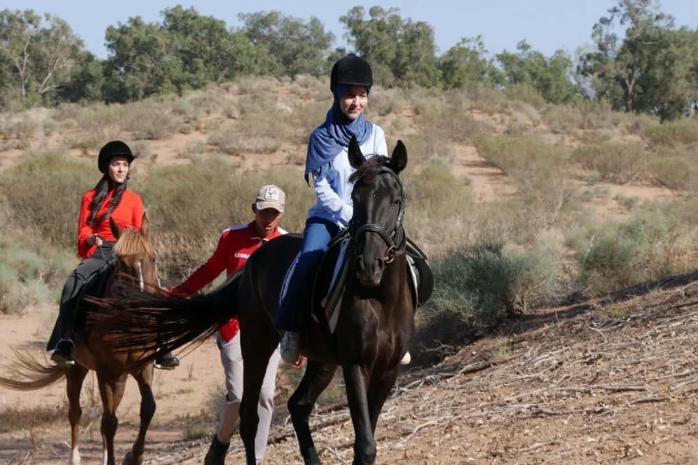 Paseo a Caballo en Tarrast 2 Horas Guiado con paisajes pintorescos