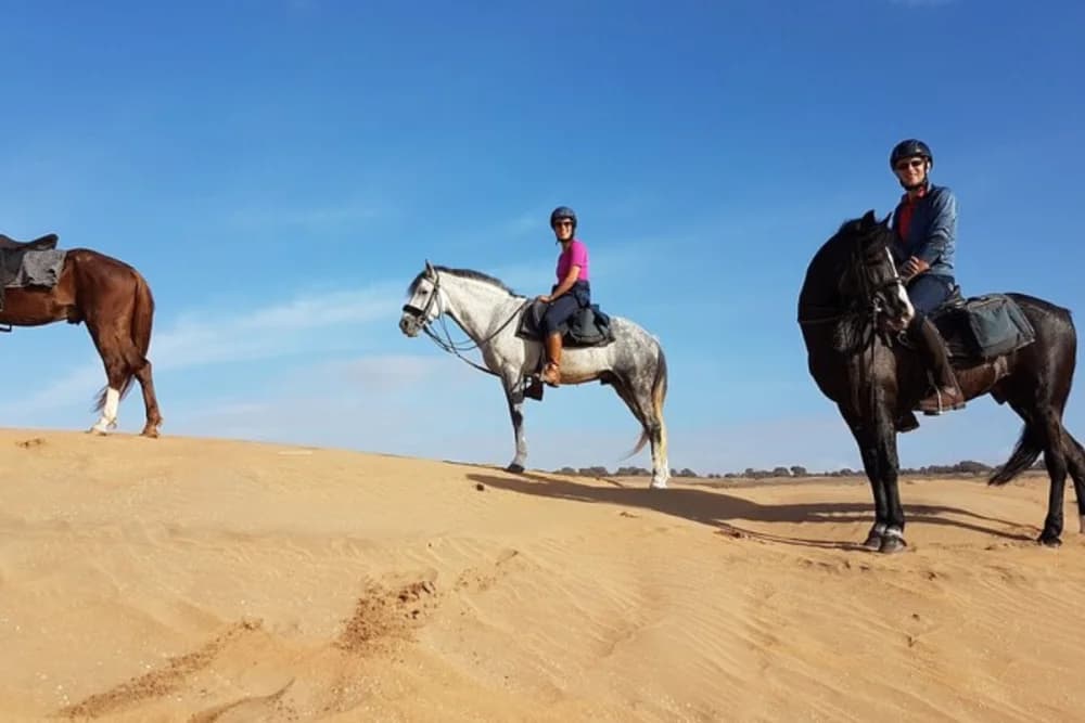 Tarrast Horse Ride 2 Hours Guided with scenic countryside - 2