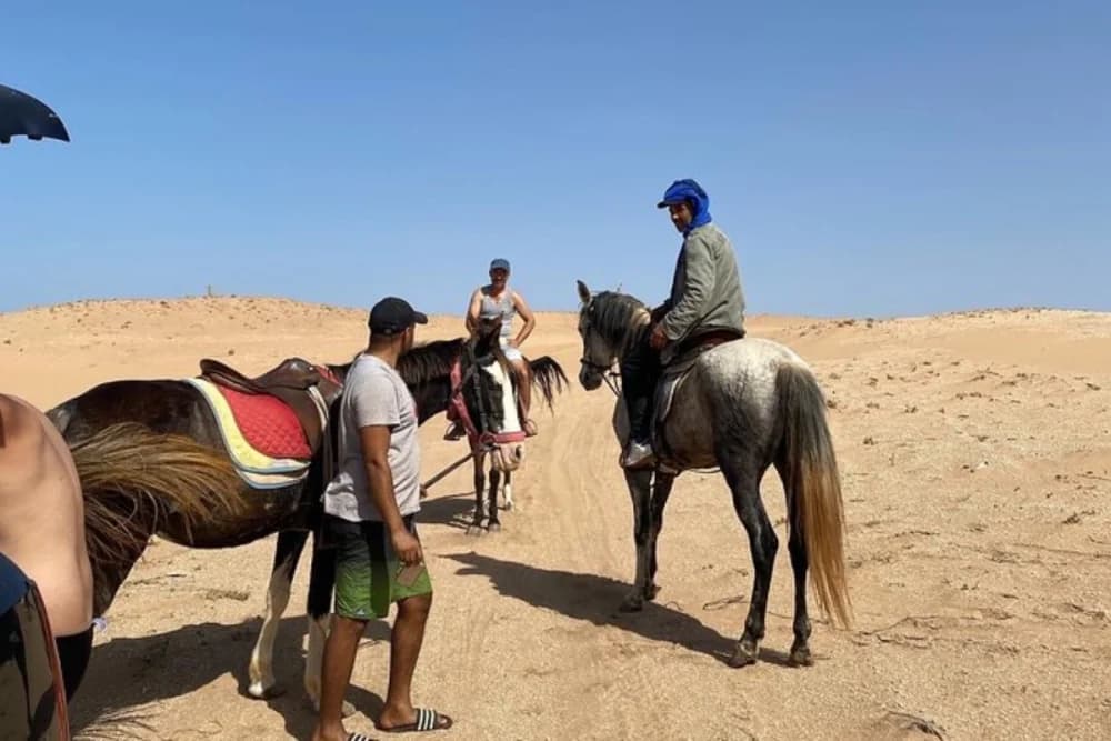 Tarrast Horse Ride 2 Hours Guided with scenic countryside - 4