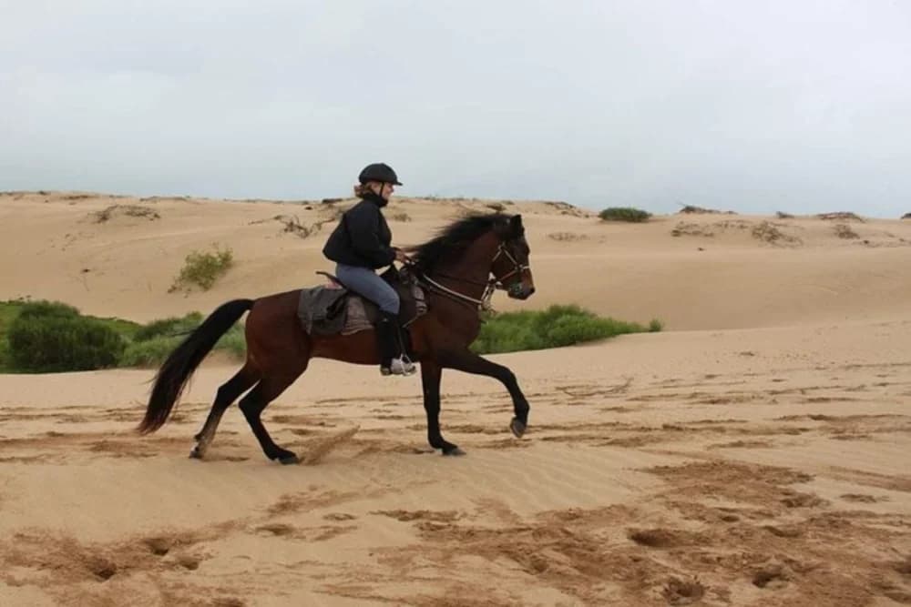 Tarrast Horse Ride 2 Hours Guided with scenic countryside - 5