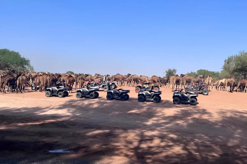 Sidi Bibi Quad Bike Tour, partidas às 10:00 e 14:00 - 3