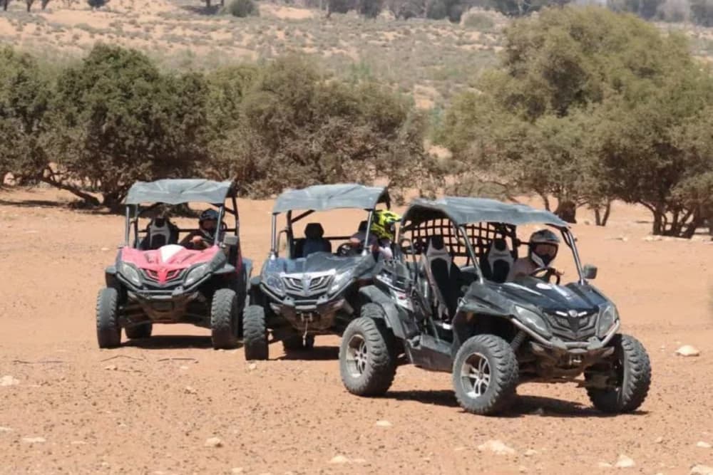 Sidi Bibi Buggy Tour 2 or 4-Seater - 2
