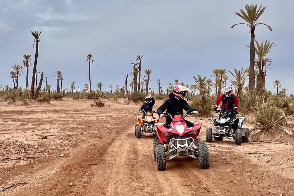 Marrakech Palmeraie 2 Hours Quad + Camel Ride - 2