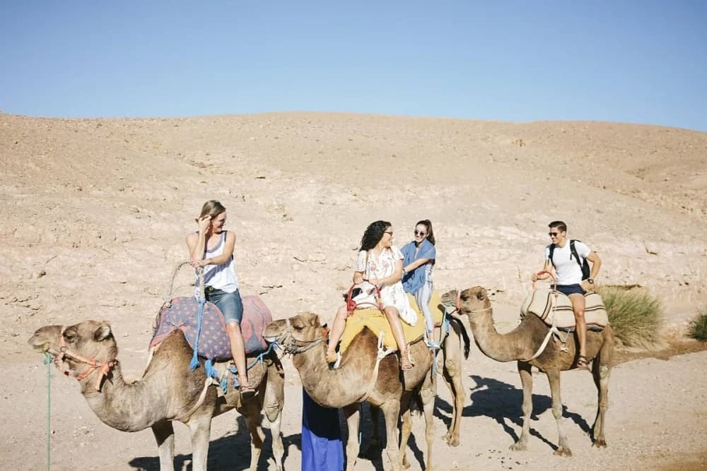Paseo en Camello por el Desierto de Agafay 1 Hora