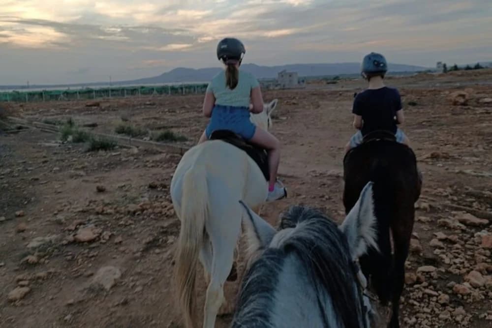 Oulad Tayeb (Fes) Paseo a Caballo. 30 Min, 1 Hora o 3 Horas - 2