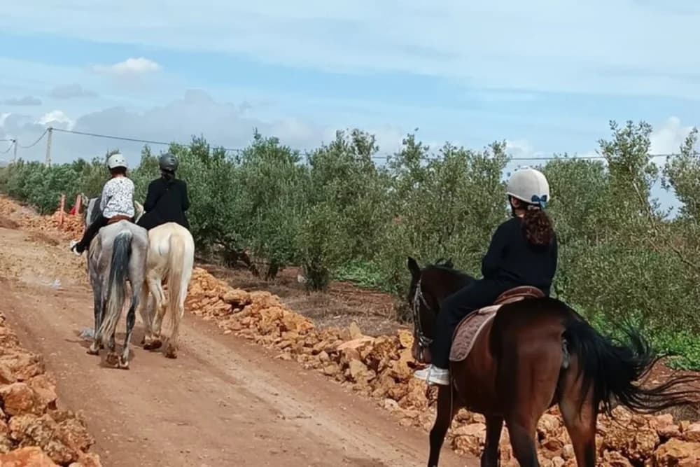 Oulad Tayeb (Fes) Paseo a Caballo. 30 Min, 1 Hora o 3 Horas