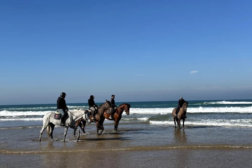 Passeio a Cavalo na Praia de Tânger 1 Hora, Diurno ou ao Pôr do Sol