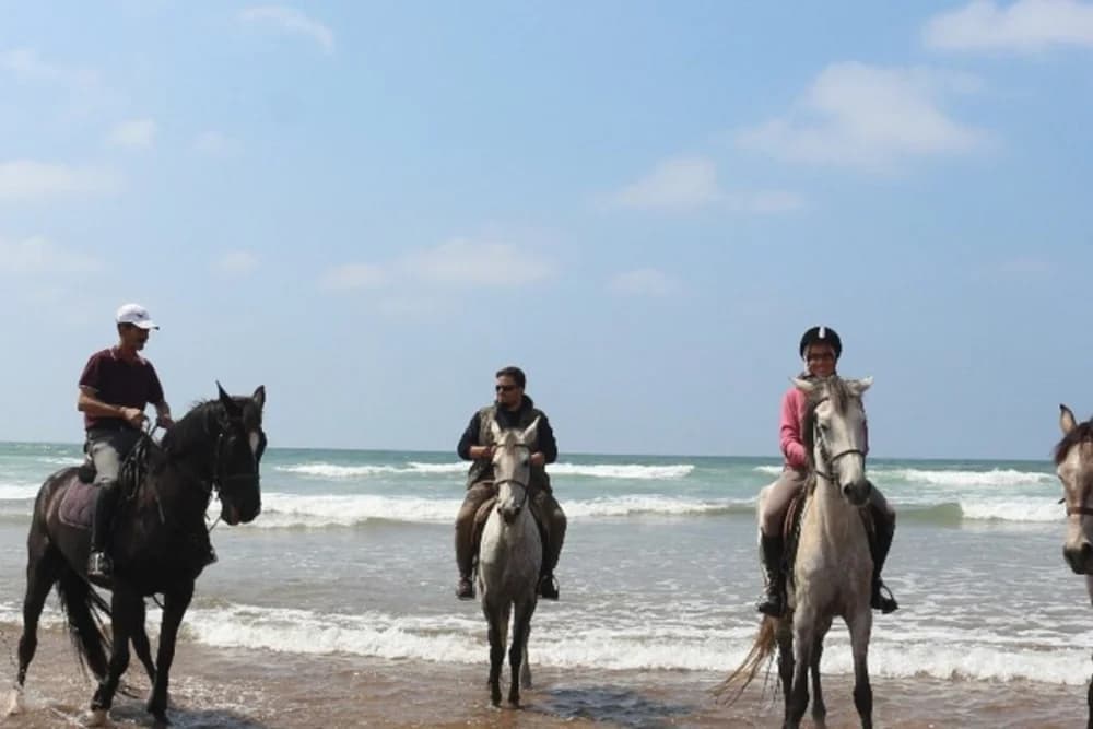 Tangier Przejażdżka konna po plaży 1 godzina, w dzień lub o zachodzie słońca - 3
