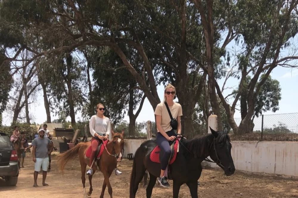 Tarrast Horse Ride 2 Hours Guided with scenic countryside - 3