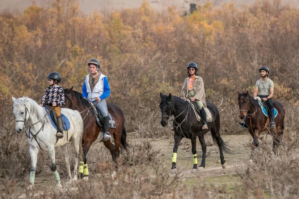Tarrast Horse Ride 2 Hours Guided with scenic countryside - thumbnail 3