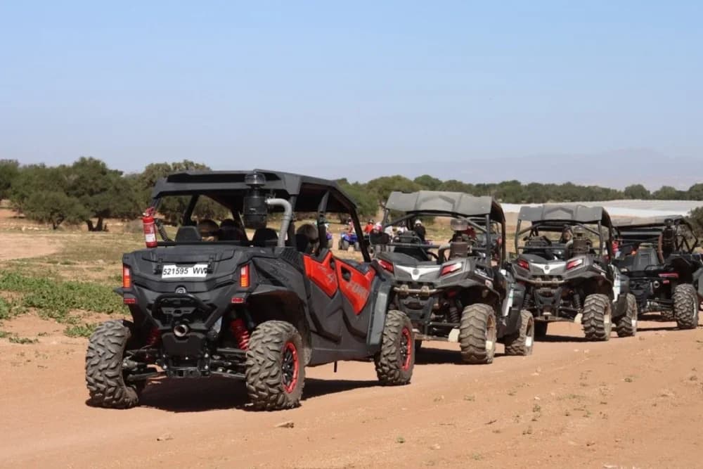 Sidi Bibi Buggy Tour 2 or 4-Seater - thumbnail 2
