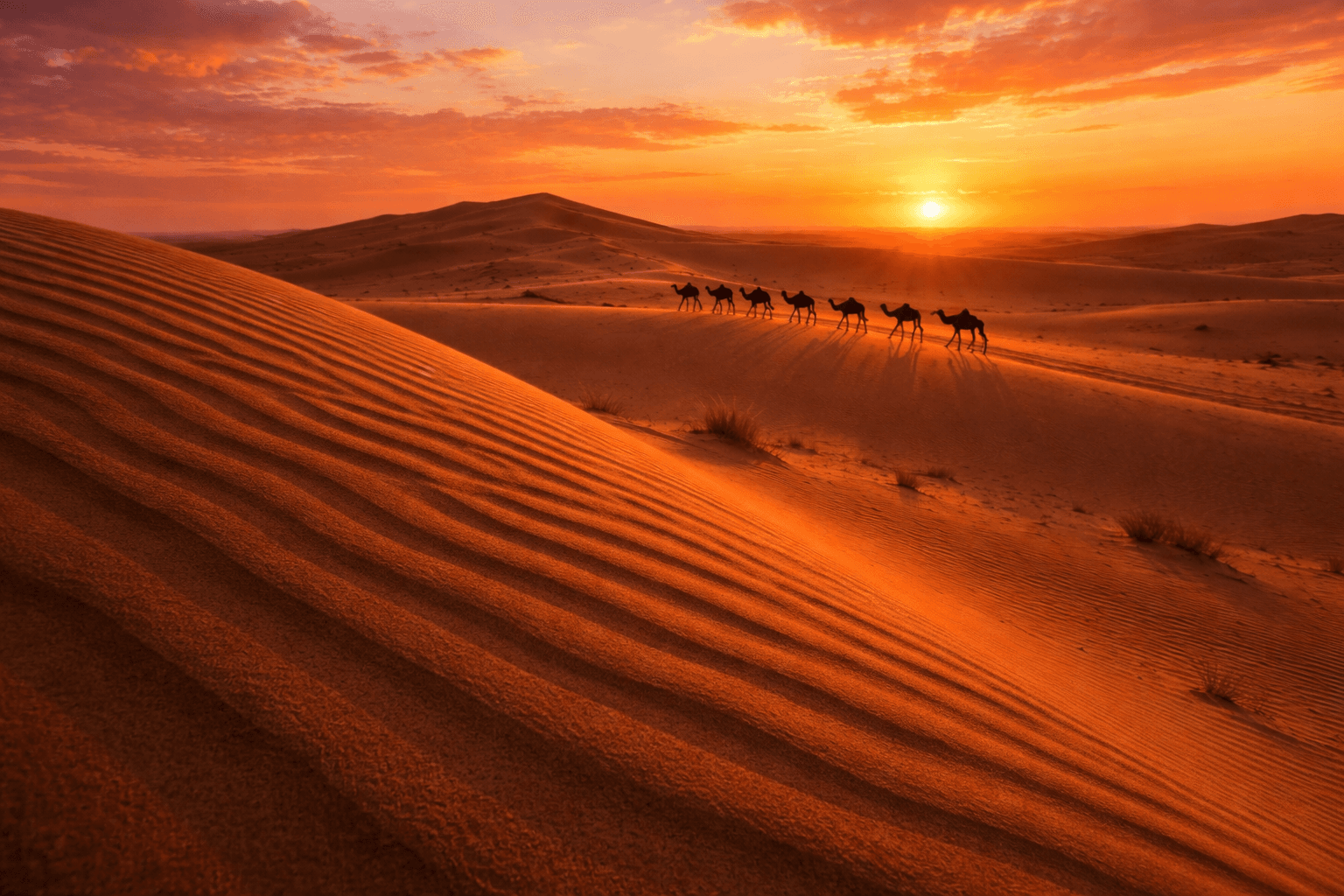 Guida al Deserto del Sahara in Marocco: L'Esperienza d'Avventura Definitiva