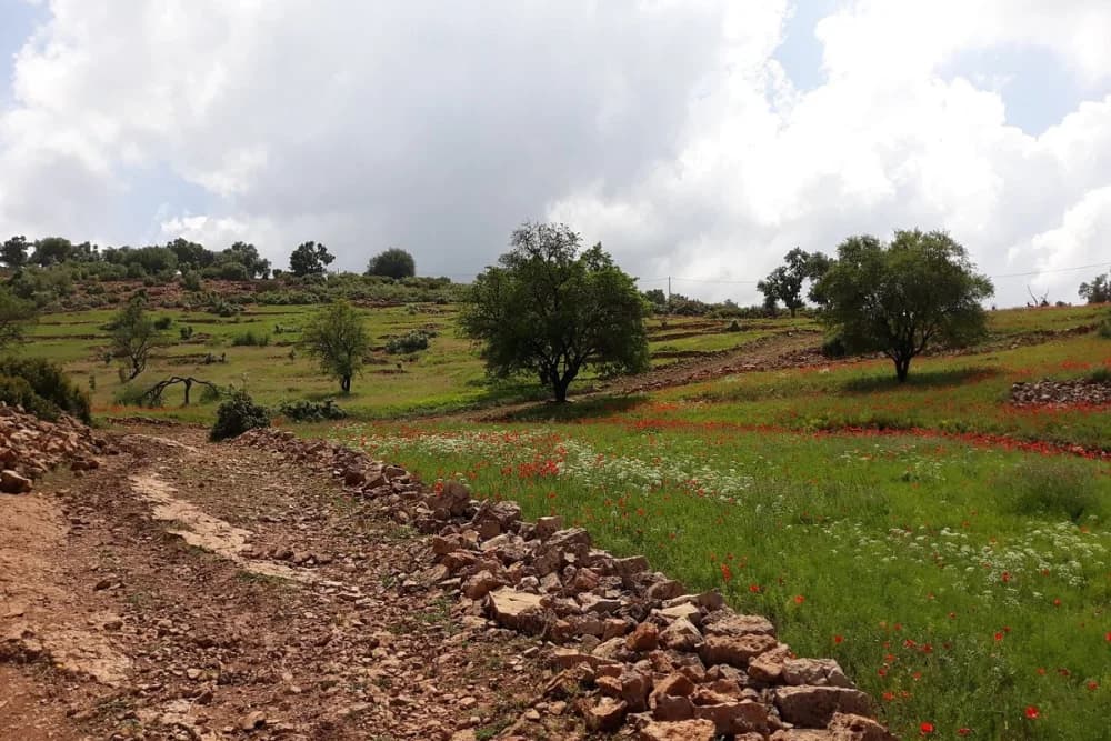 Expedición en Quad por Ouzoud de 2 Días Taghia, Demnate y Ait Bougmez + 1 Noche de Alojamiento