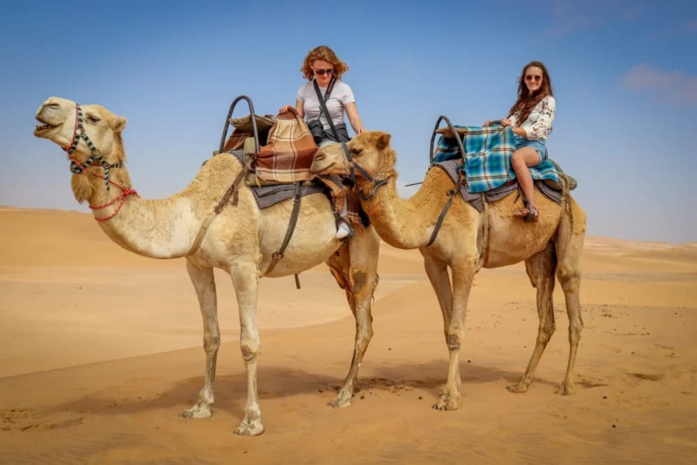 Paseo en Camello en Agadir de 2 Horas en Oued Souss Takkat