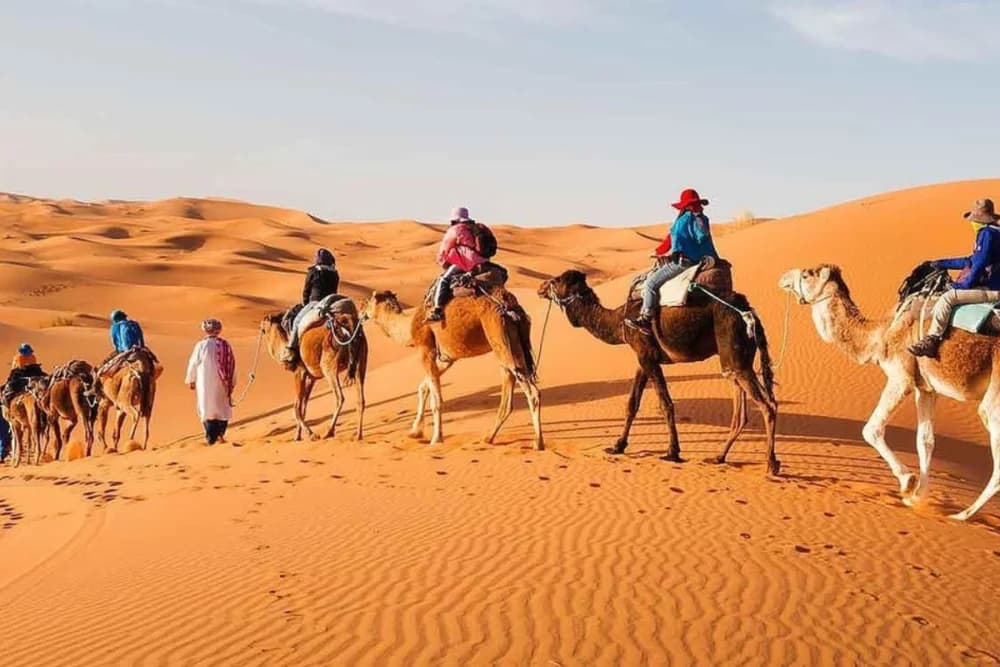 Excursion de 3 jours dans le désert de Merzouga depuis Marrakech + Chameau, Dîner & Spectacle