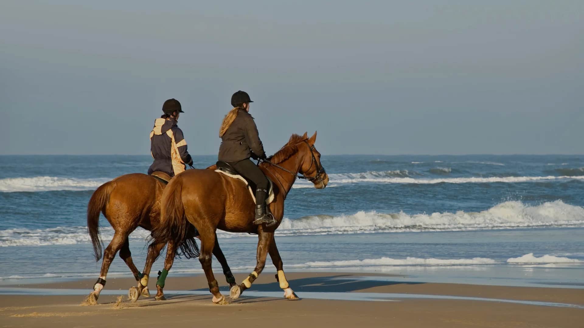 اكتشف ركوب الخيل في المغرب. بإشراف خبراء محليين